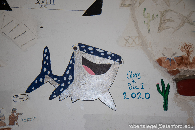 baja 2024